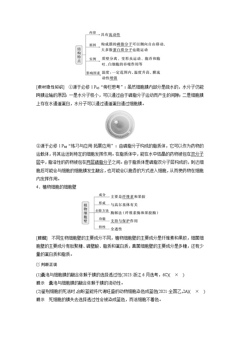 【备考2026】高考生物一轮复习资源：第2单元 第4课时 细胞膜与细胞核的结构和功能（讲与练）（教师版）第3页