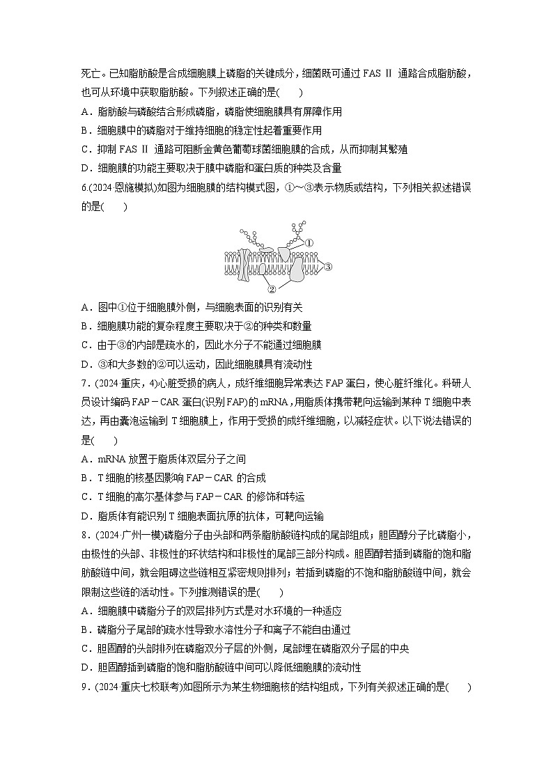 【备考2026】高考生物一轮复习资源：第2单元 课时练4 细胞膜与细胞核的结构和功能（课时精练）（学生版）第2页