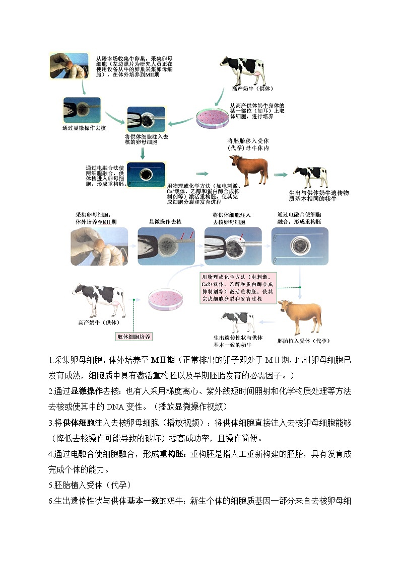 【高效备课】高二生物下册人教2019版选择性必修3同步优选：2.2.3 动物体细胞核移植技术和克隆动物（教案）第3页