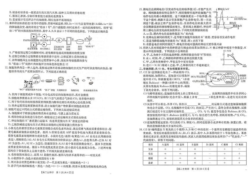 广西壮族自治区崇左、贺州、贵港市2024-2025学年高二下学期期末考试生物试题（PDF版附答案）第2页