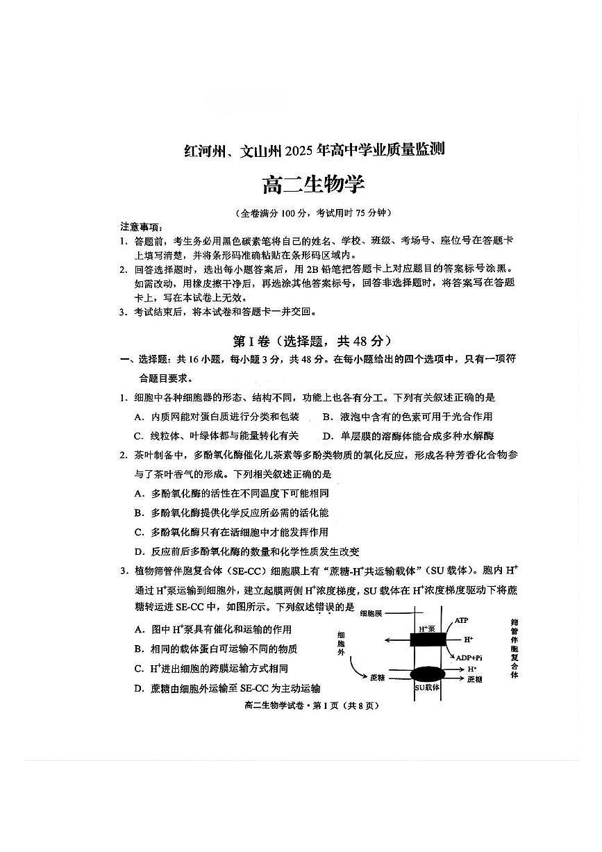 云南省红河州、文山州2024-2025学年高二下学期期末考试生物试题（PDF版附答案）第1页