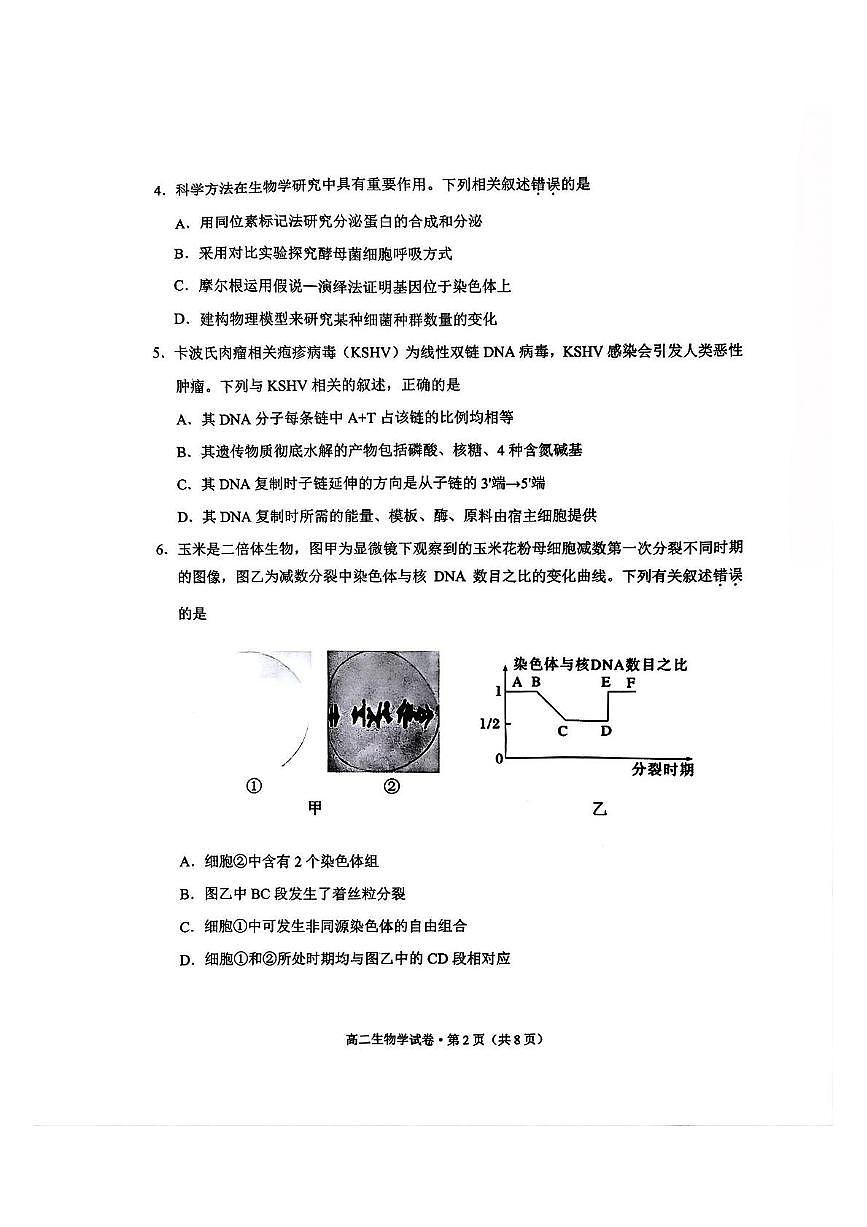 云南省红河州、文山州2024-2025学年高二下学期期末考试生物试题（PDF版附答案）第2页