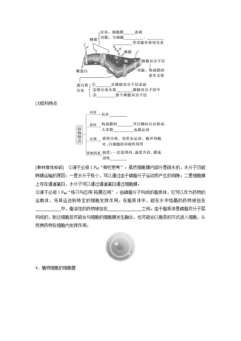 【备考2026】高考生物一轮复习资源：第2单元 第4课时 细胞膜与细胞核的结构和功能（讲义）含答案第3页