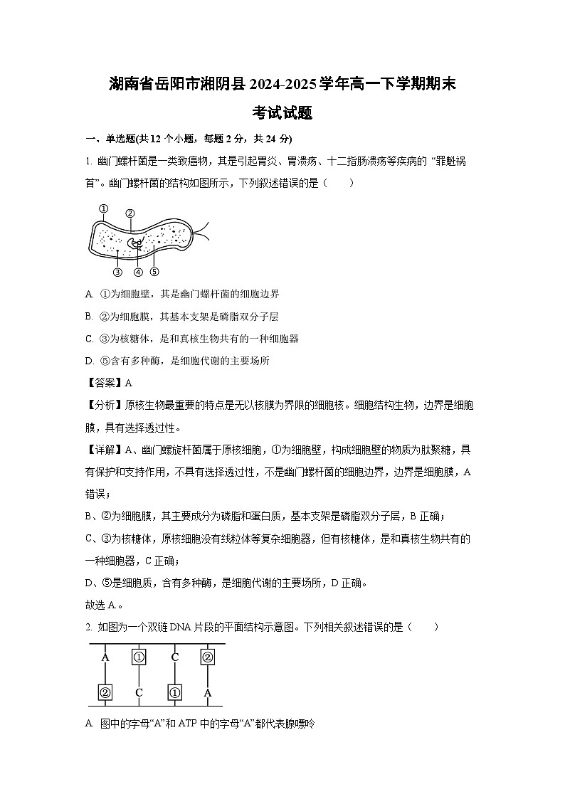 湖南省岳阳市湘阴县2024-2025学年高一下学期期末考试生物试题（解析版）第1页
