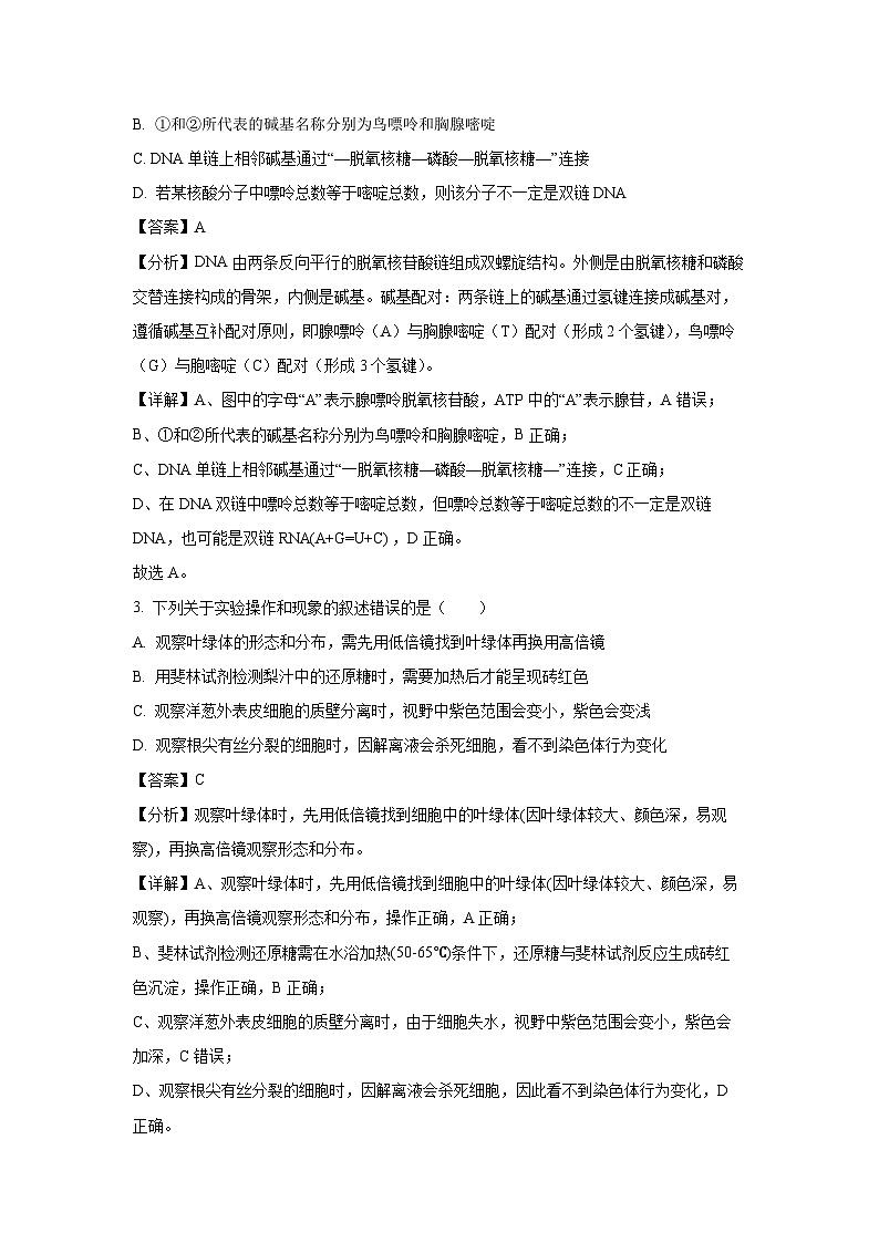 湖南省岳阳市湘阴县2024-2025学年高一下学期期末考试生物试题（解析版）第2页