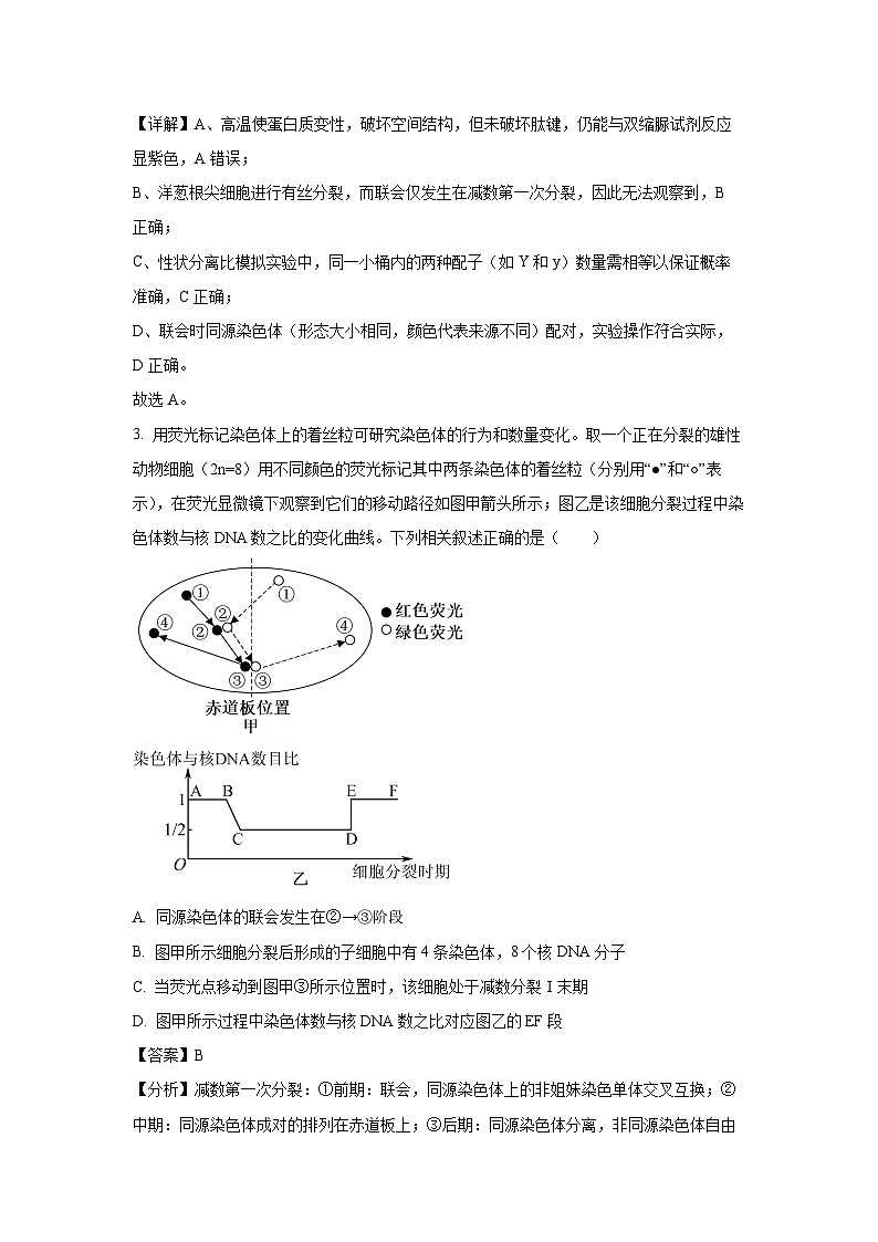 江苏省扬州市高邮市、宝应县2024-2025学年高一下学期期末调研生物试题（解析版）第2页