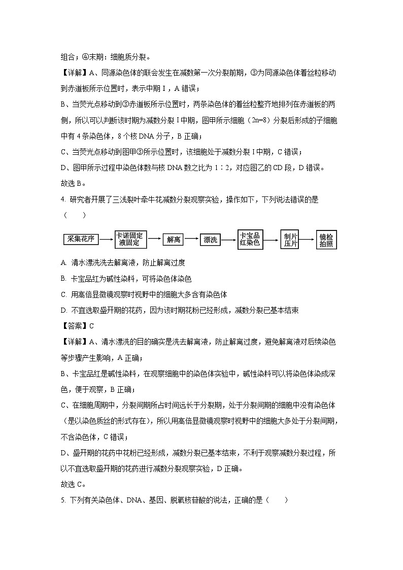 江苏省扬州市高邮市、宝应县2024-2025学年高一下学期期末调研生物试题（解析版）第3页