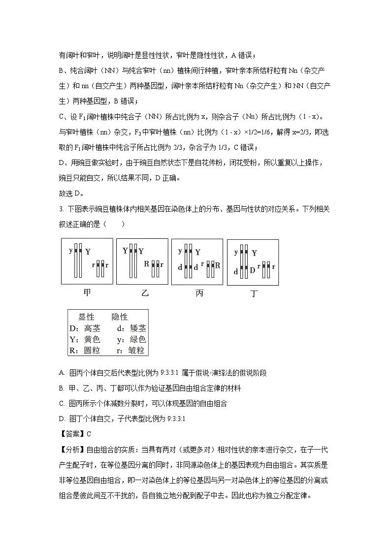 山西省孝义市2024-2025学年高一下学期期中考试生物试题（解析版）第2页