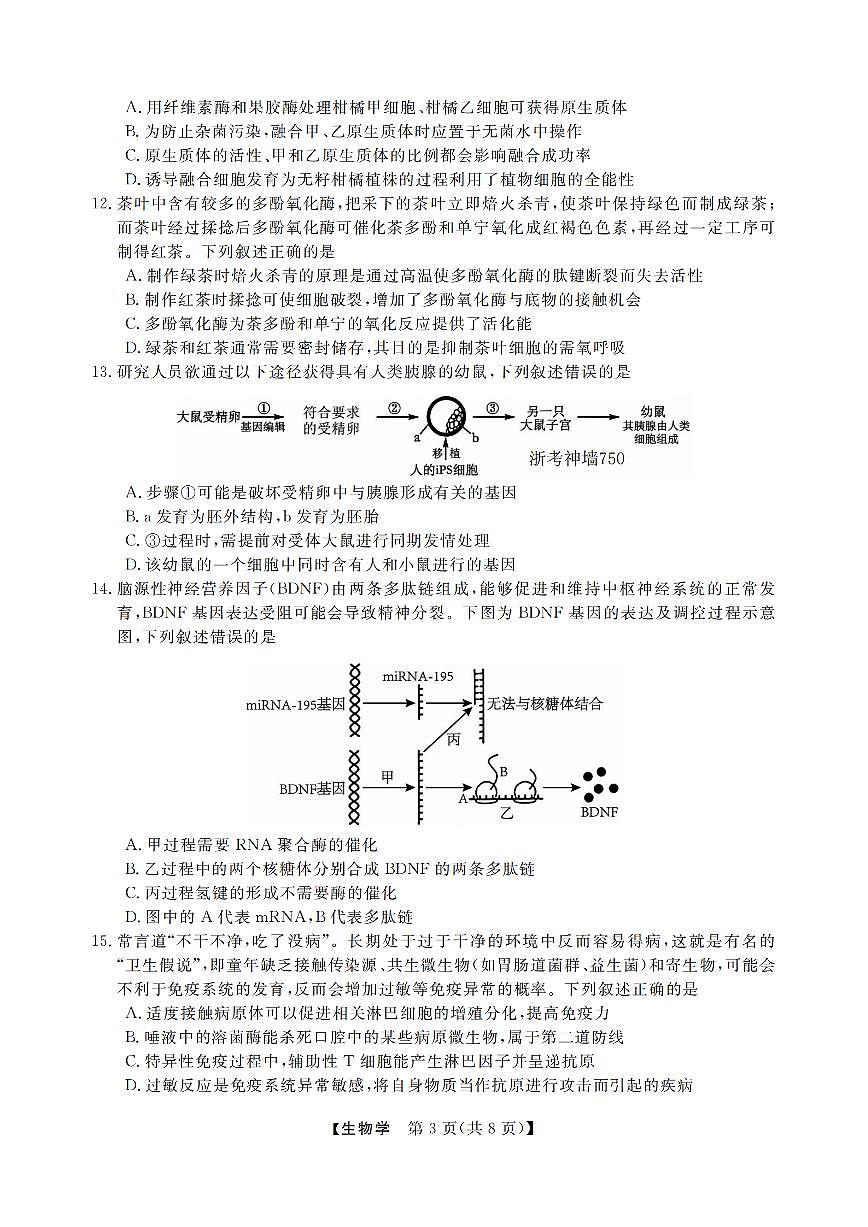 浙江强基联盟2025届高三下学期2月联考生物试卷+答案第3页