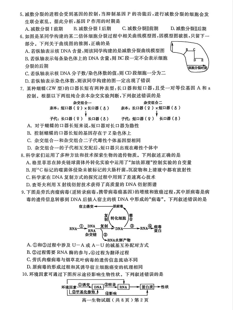 山东省聊城市2024-2025学年高一下学期期末考试 生物试卷第2页