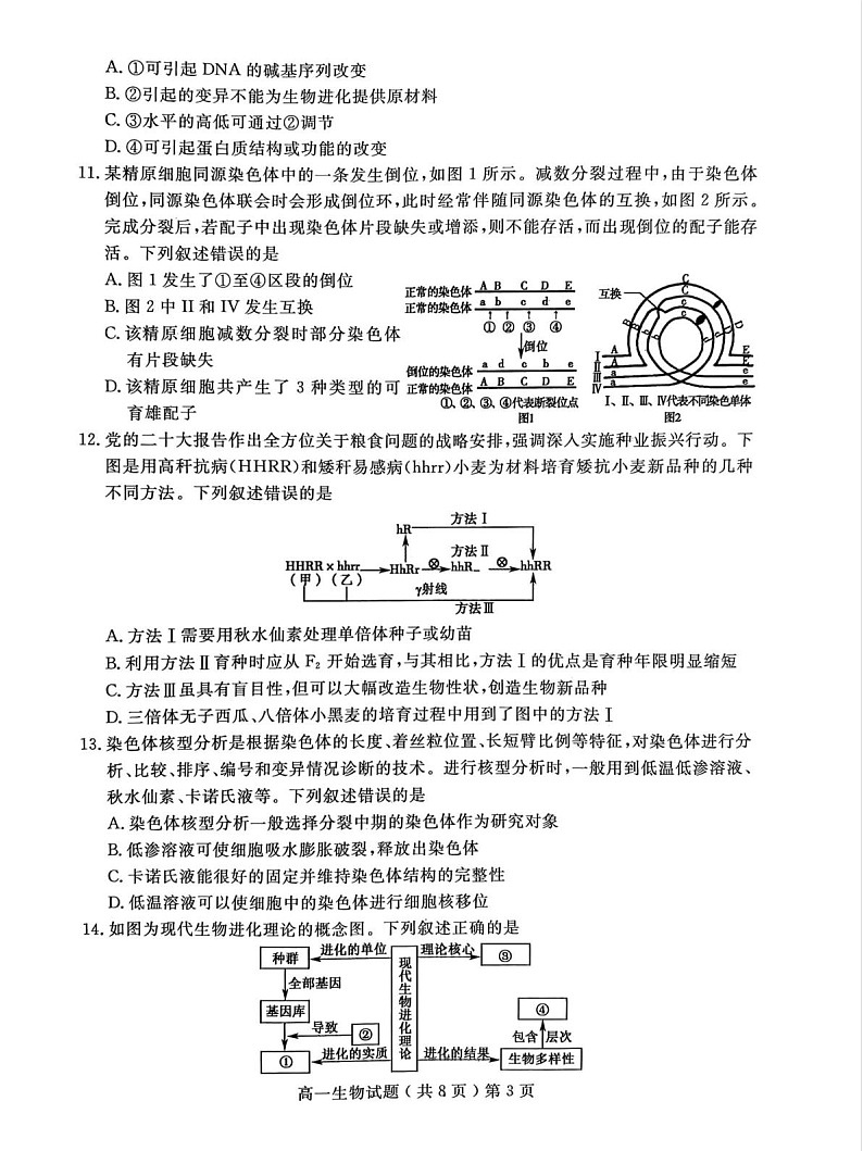 山东省聊城市2024-2025学年高一下学期期末考试 生物试卷第3页