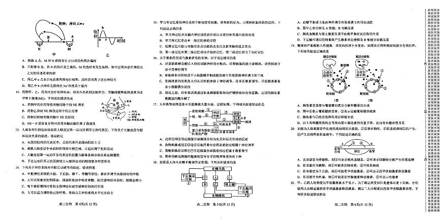河南省南阳市2024-2025学年高二上学期11月期中生物试题第2页