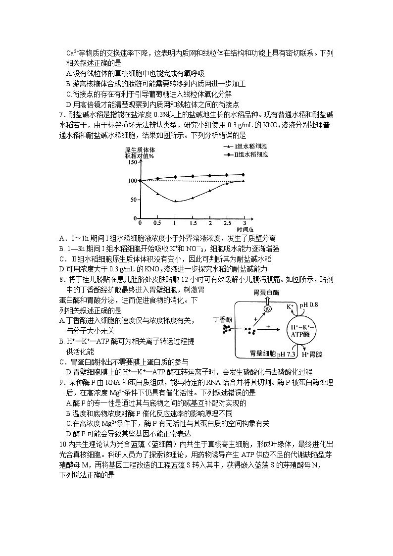 河南省南阳市2024-2025学年高三上学期11月期中考试生物试题第2页