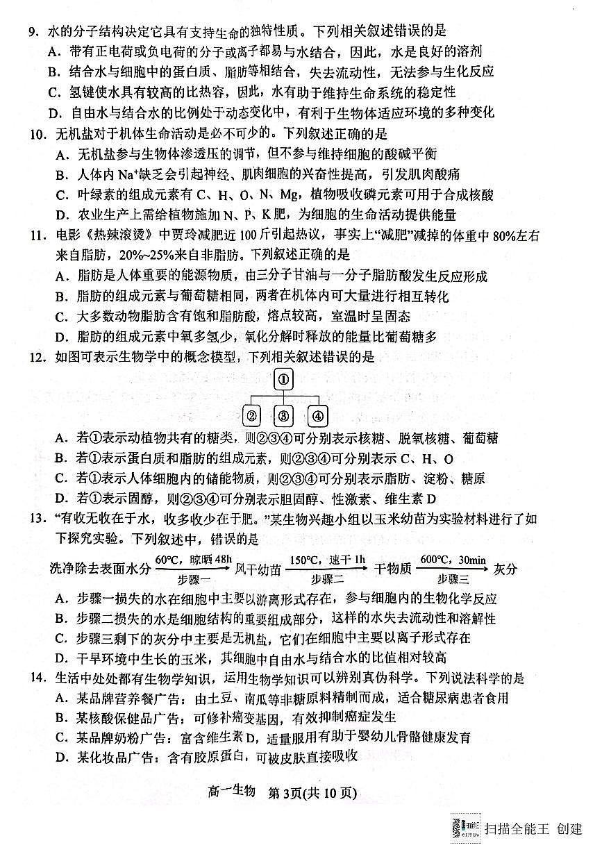 河南省南阳市2024-2025学年高一上学期11月期中生物试题第3页