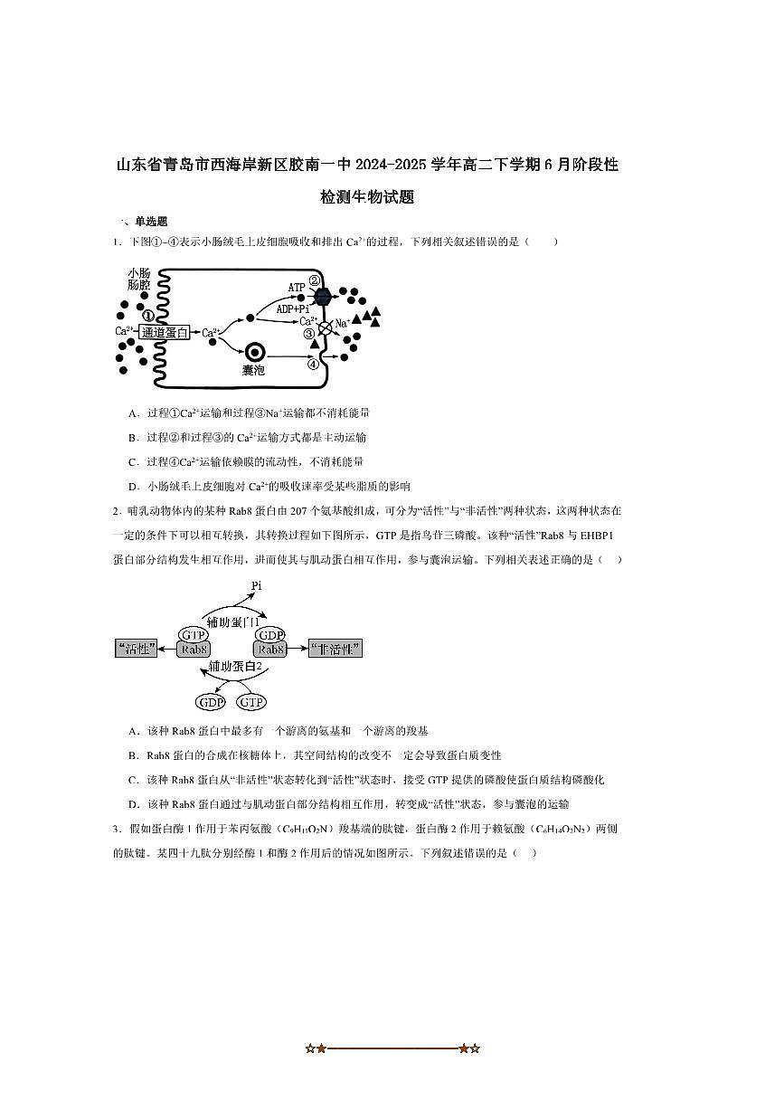 2024～2025学年山东省青岛西海岸新区胶南第一高级中学高二下6月考生物试卷(含答案)第1页