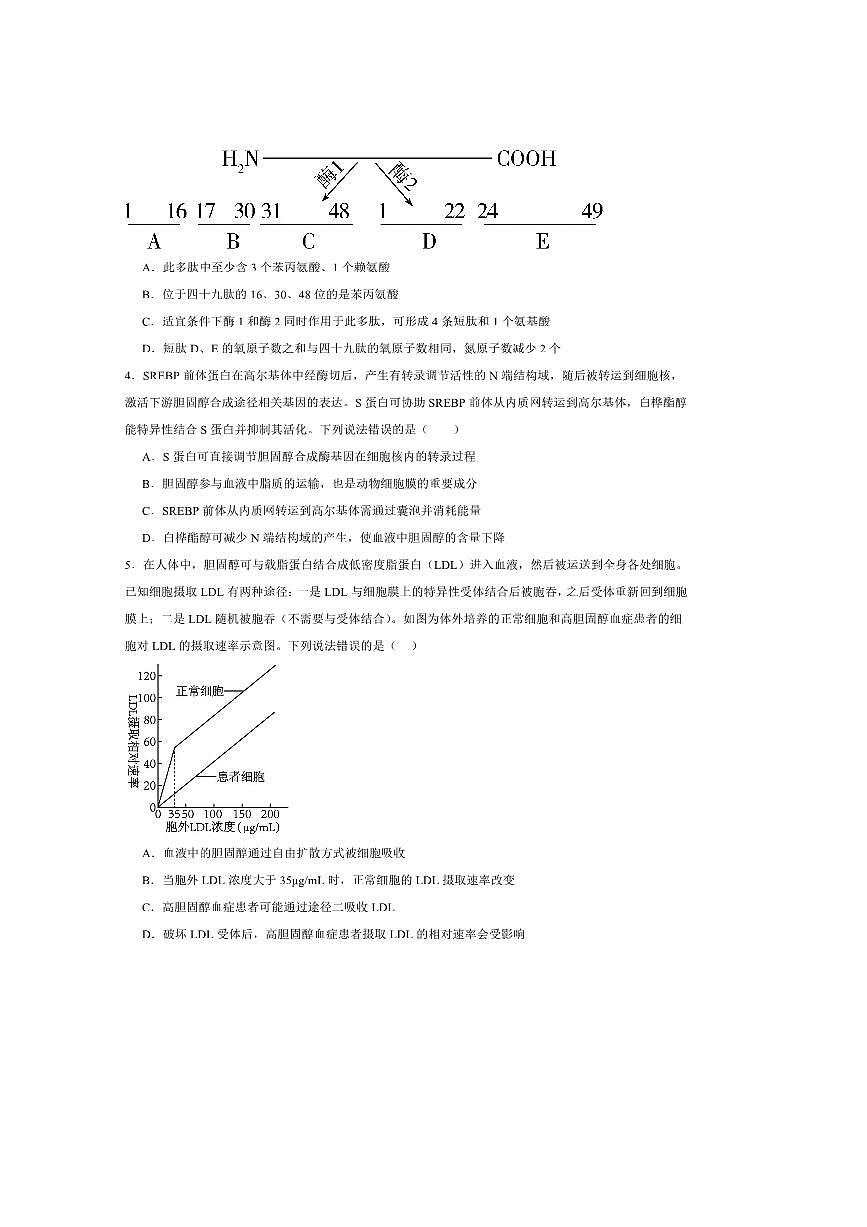 2024～2025学年山东省青岛西海岸新区胶南第一高级中学高二下6月考生物试卷(含答案)第2页