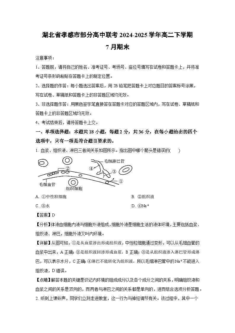 湖北省孝感市部分高中联考2024-2025学年高二下学期7月期末生物试卷（解析版）第1页