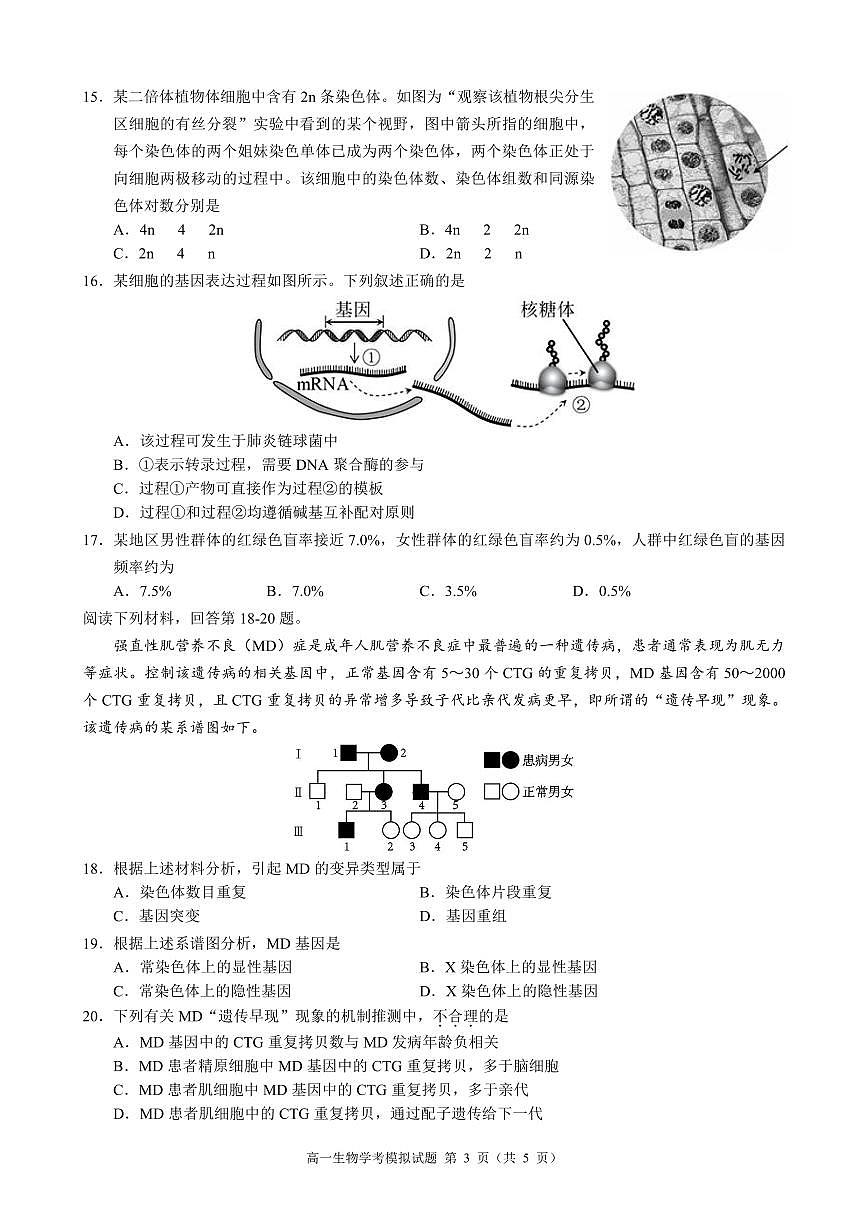 2025年浙江省9+1高中联盟高一下学期学业水平模拟考试生物试卷+答案第3页