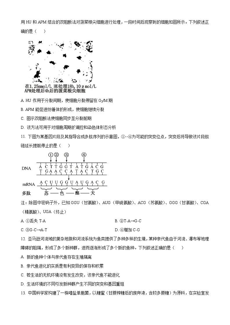 浙江省衢州市2023-2024学年高二下学期6月期末生物试题第3页