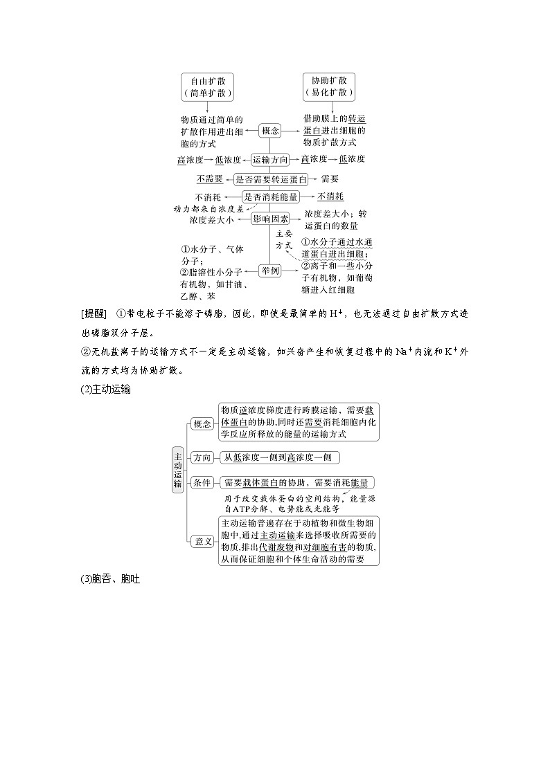 【备考2026】高考生物一轮复习资源：第2单元 第8课时 物质进出细胞的方式及影响因素（讲与练）（教师版）第2页