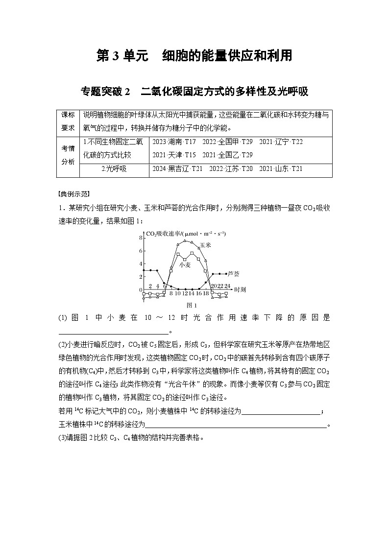 【备考2026】高考生物一轮复习资源：第3单元 专题突破2 二氧化碳固定方式的多样性及光呼吸（讲与练）（教师版）第1页