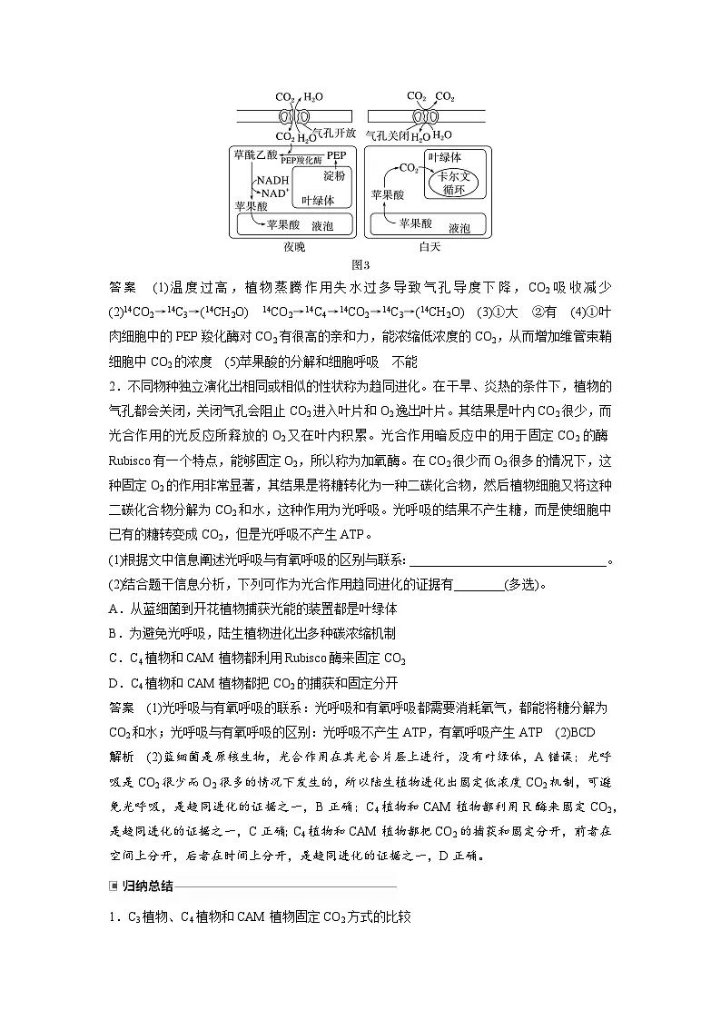 【备考2026】高考生物一轮复习资源：第3单元 专题突破2 二氧化碳固定方式的多样性及光呼吸（讲与练）（教师版）第3页