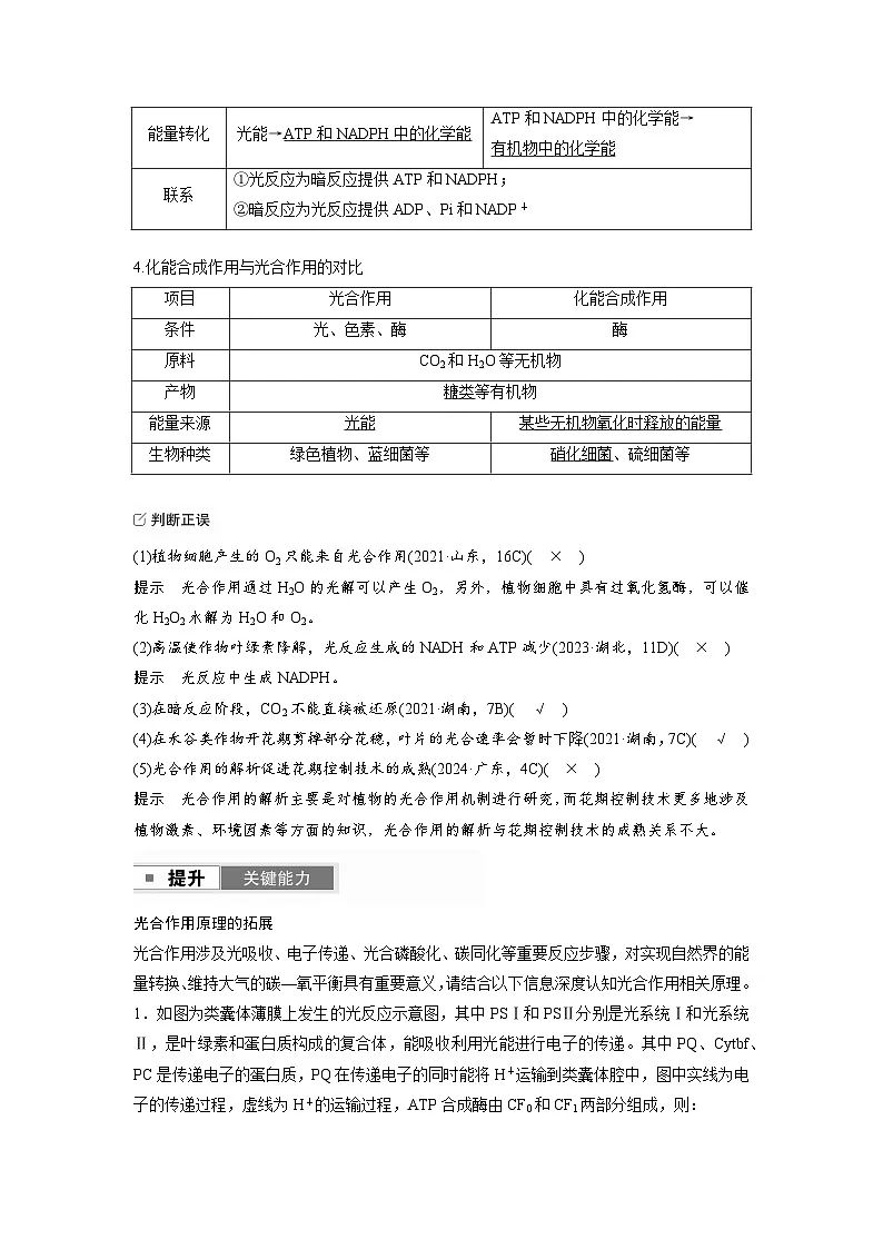 【备考2026】高考生物一轮复习资源：第3单元 第13课时 光合作用的原理（讲与练）（教师版）第2页