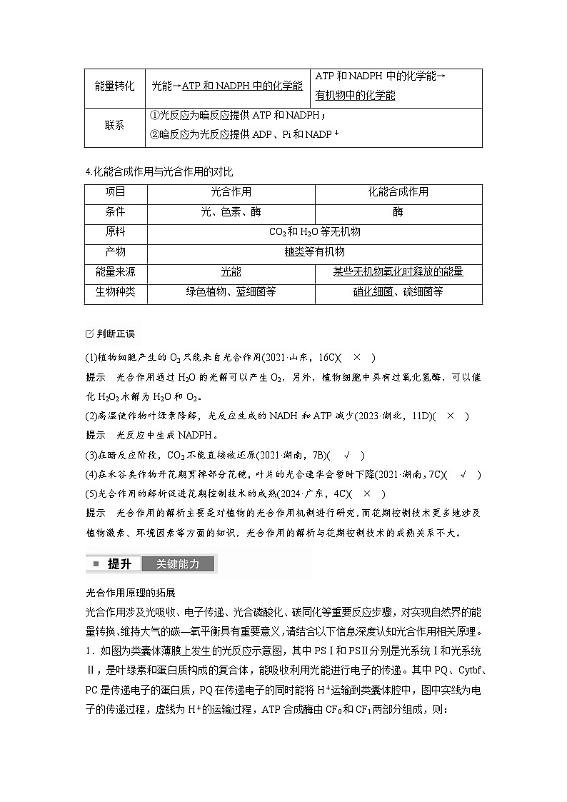 【备考2026】高考生物一轮复习资源：第3单元 第13课时 光合作用的原理（讲与练）（教师版）第2页