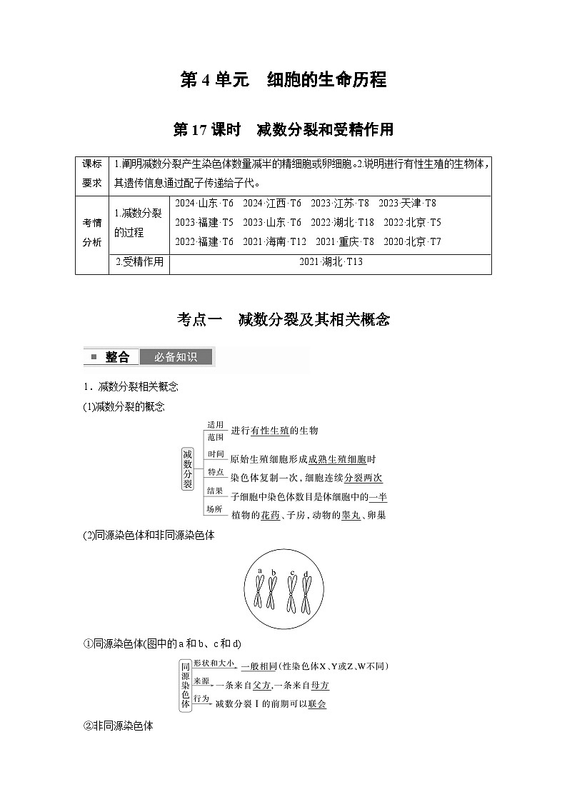 【备考2026】高考生物一轮复习资源：第4单元 第17课时 减数分裂和受精作用（讲与练）（教师版）第1页