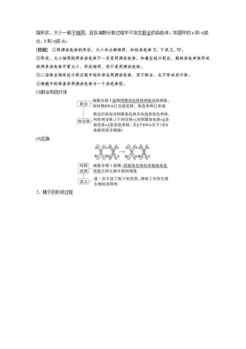【备考2026】高考生物一轮复习资源：第4单元 第17课时 减数分裂和受精作用（讲与练）（教师版）第2页
