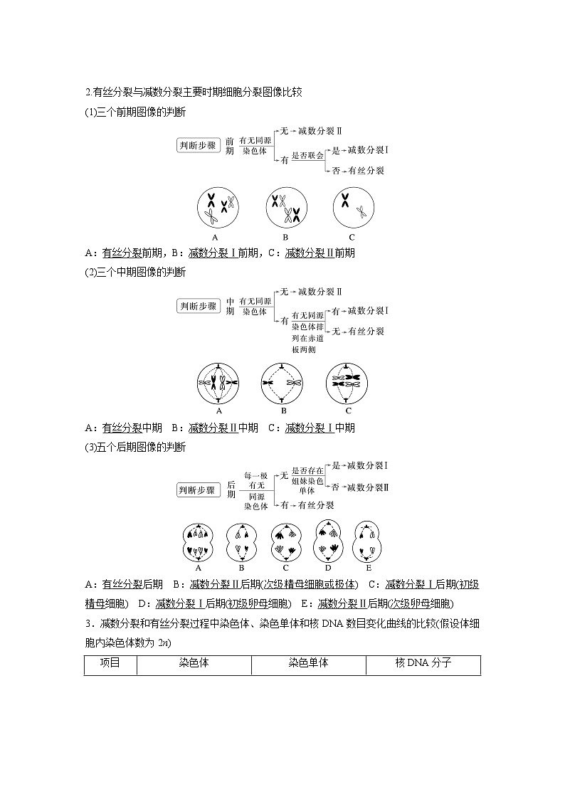 【备考2026】高考生物一轮复习资源：第4单元 第18课时 减数分裂与有丝分裂的比较（讲与练）（教师版）第2页