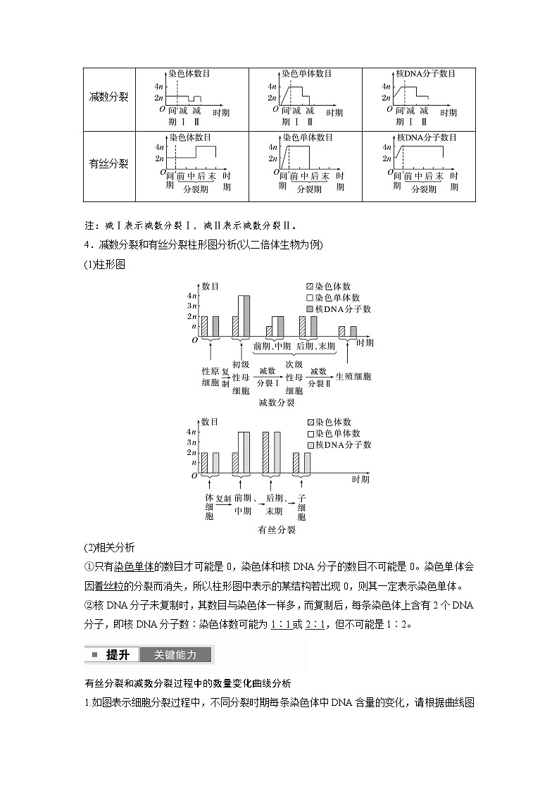 【备考2026】高考生物一轮复习资源：第4单元 第18课时 减数分裂与有丝分裂的比较（讲与练）（教师版）第3页