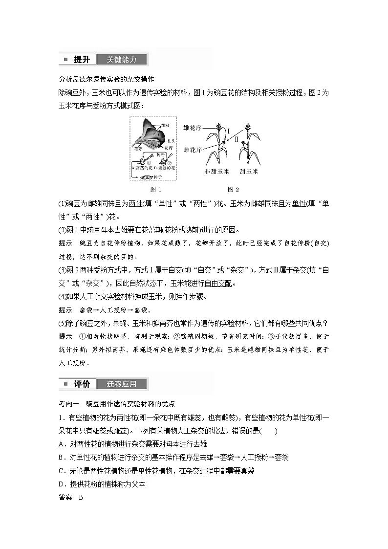 【备考2026】高考生物一轮复习资源：第5单元 第20课时 一对相对性状的杂交实验（讲与练）（教师版）第2页