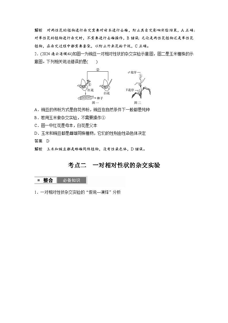 【备考2026】高考生物一轮复习资源：第5单元 第20课时 一对相对性状的杂交实验（讲与练）（教师版）第3页