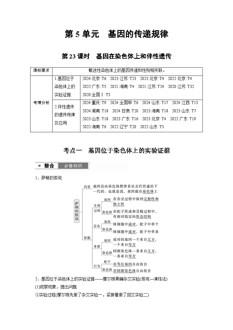 【备考2026】高考生物一轮复习资源：第5单元 第23课时 基因在染色体上和伴性遗传（讲与练）（教师版）第1页