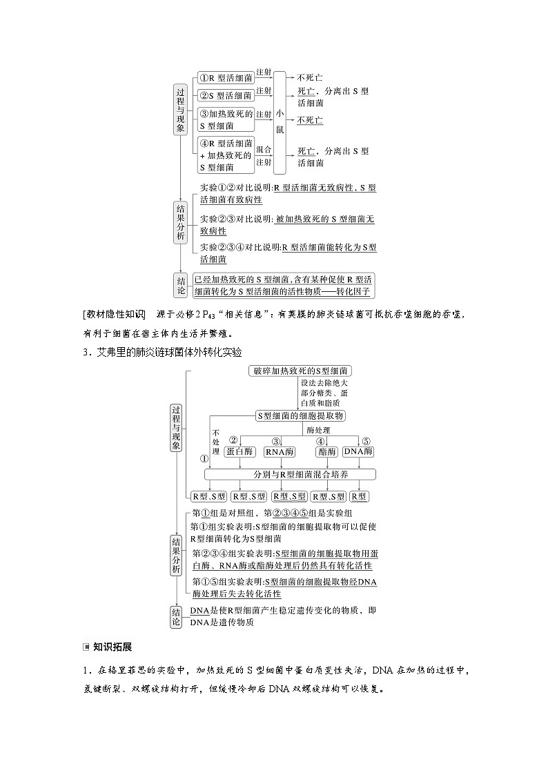 【备考2026】高考生物一轮复习资源：第6单元 第25课时 DNA是主要的遗传物质（讲与练）（教师版）第2页