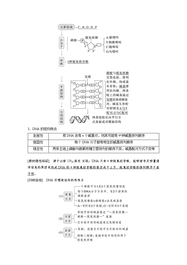 【备考2026】高考生物一轮复习资源：第6单元 第26课时 DNA的结构、复制和基因的本质（讲与练）（教师版）第2页