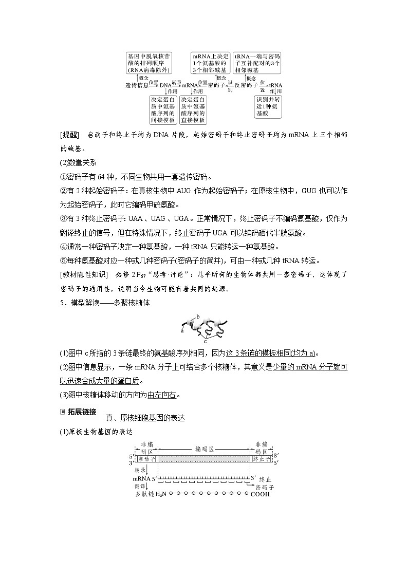 【备考2026】高考生物一轮复习资源：第6单元 第27课时 基因的表达（讲与练）（教师版）第3页