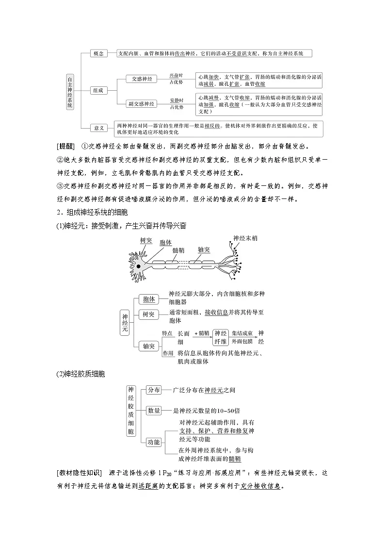 【备考2026】高考生物一轮复习资源：第8单元 第33课时 神经调节的结构基础和基本方式（讲与练）（教师版）第2页