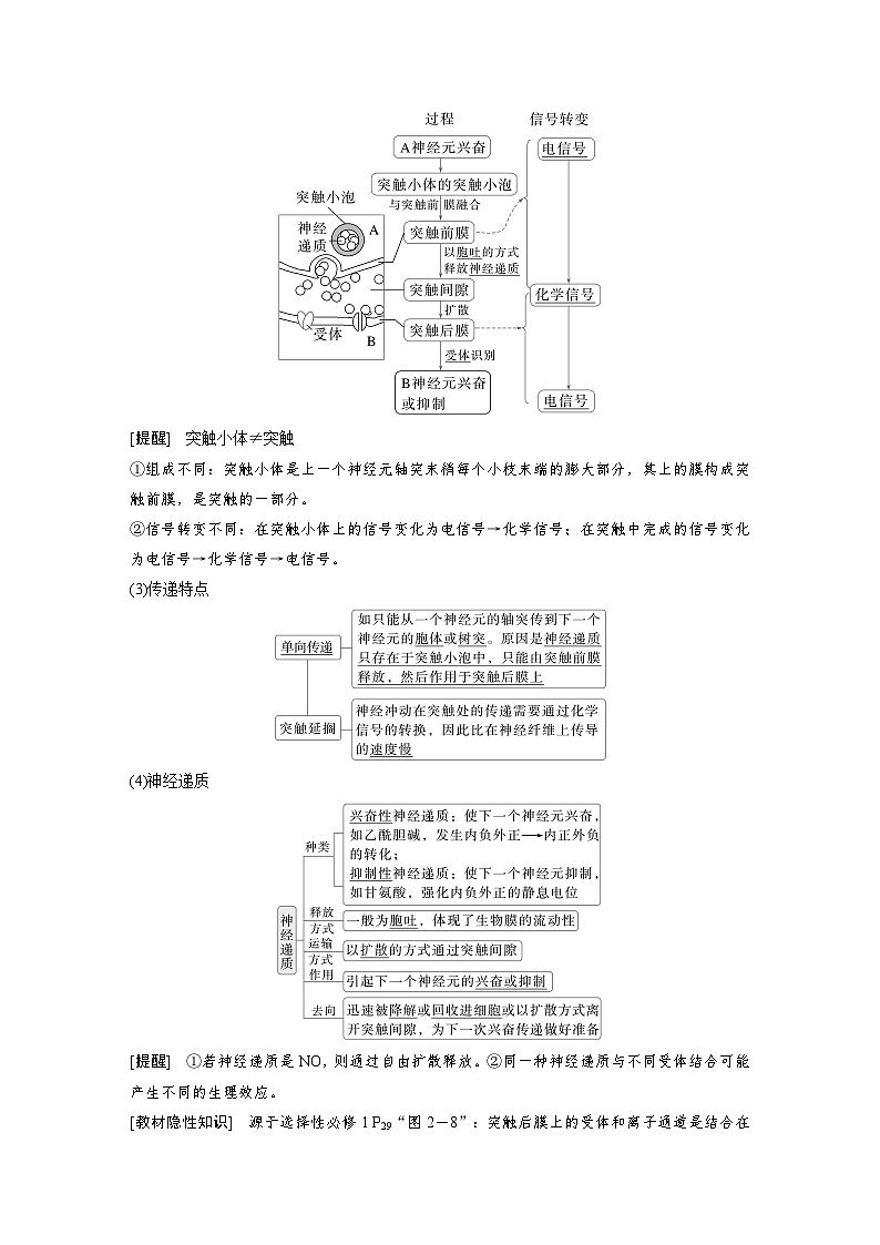 【备考2026】高考生物一轮复习资源：第8单元 第34课时 神经冲动的产生和传导（讲与练）（教师版）第3页
