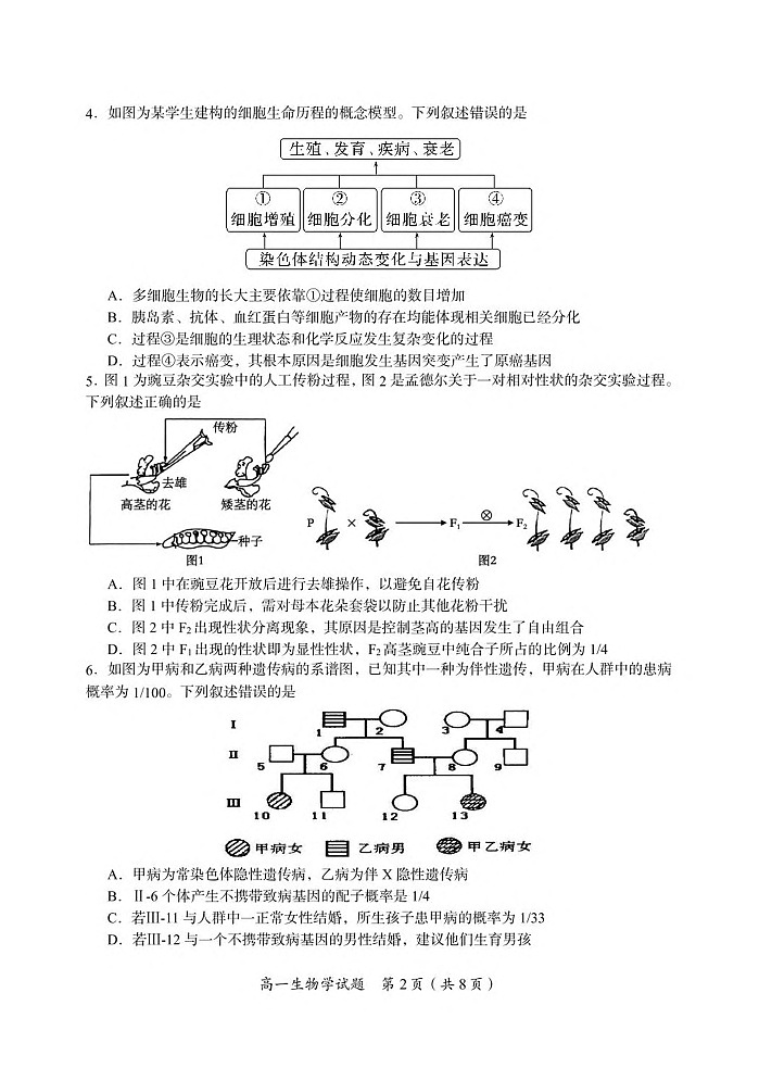 湖南省郴州市2024-2025学年高一下学期期末测试生物试卷第2页