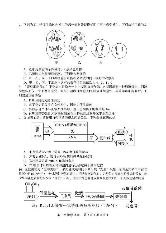 湖南省郴州市2024-2025学年高一下学期期末测试生物试卷第3页