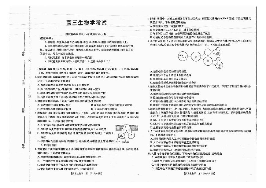 广西省金太阳2025-2026学年高三上学期开学考试（26-03C）生物第1页