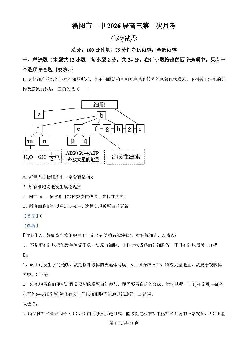 精品解析：湖南省衡阳市第一中学2025-2026学年高三下学期第一次月考生物试卷（解析版）第1页
