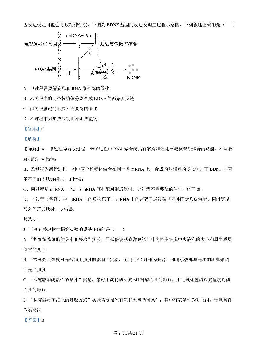 精品解析：湖南省衡阳市第一中学2025-2026学年高三下学期第一次月考生物试卷（解析版）第2页