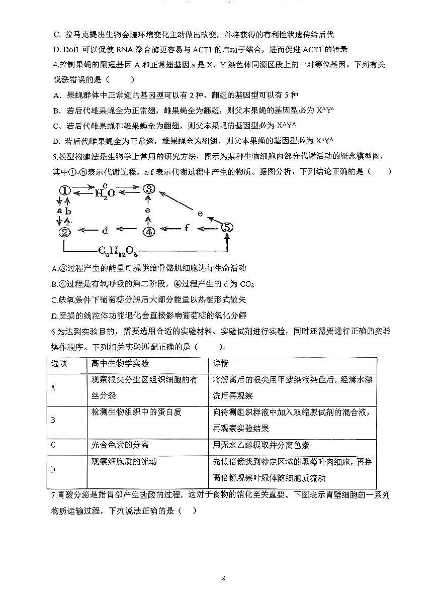 广东省“六校联盟”2026届高三年级第一次联考+生物.pdf第2页