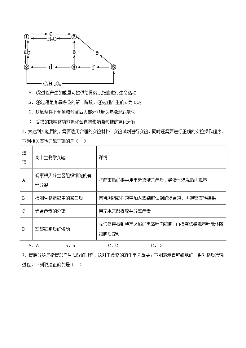 广东省“六校联盟”2026届高三年级第一次联考+生物答案.docx第2页
