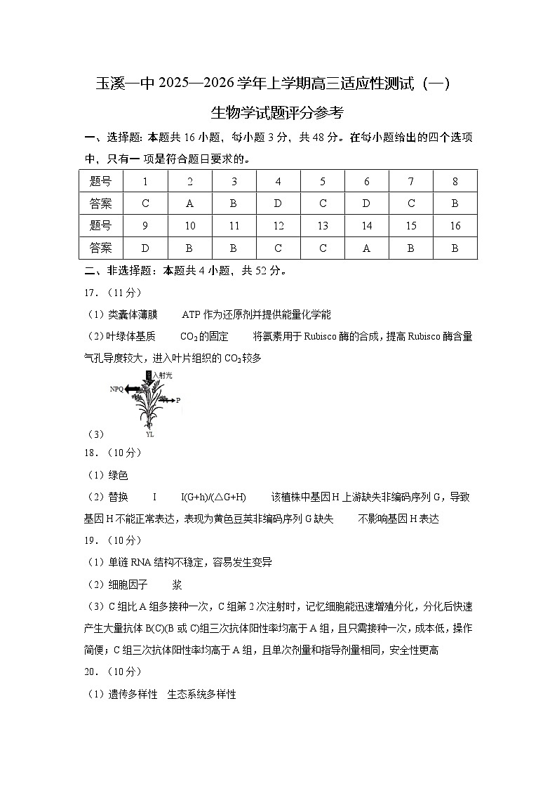 云南省玉溪第一中学2025-2026学年高三上学期适应性测试（一）生物答案.docx第1页