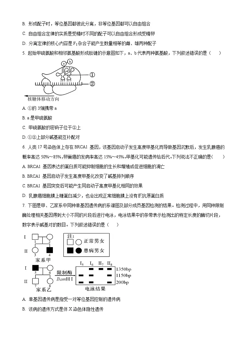 炎德·英才大联考长郡中学2026届高三月考试卷（一）生物第2页