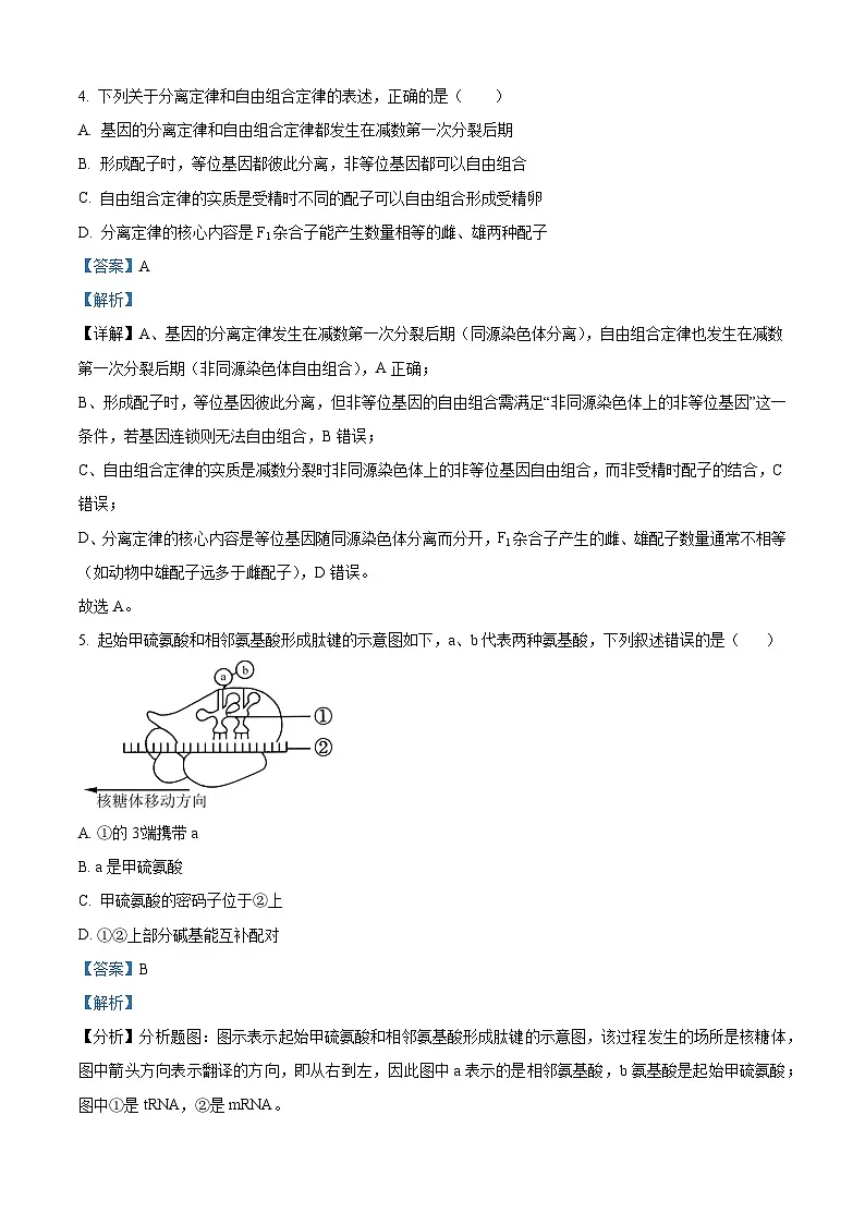 炎德·英才大联考长郡中学2026届高三月考试卷（一）生物答案第3页